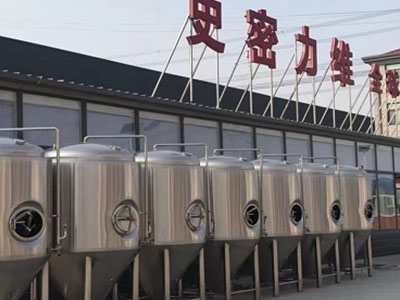 临武精酿啤酒设备厂—如何判断精酿啤酒设备的密封件需要更换？